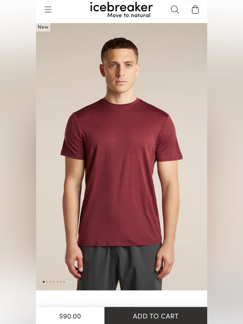 Icebreaker Men's 150 Merino Wool Short Sleeve Tech Lite T-Shirt Burgundy L